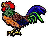 rooster