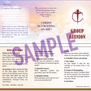 Revised Group Reunion Sheets (package of 50) - 2017